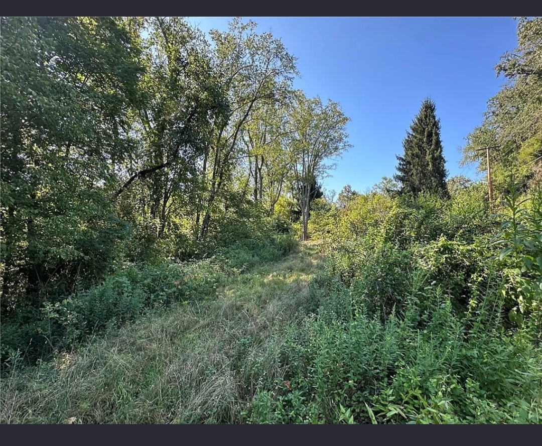 LAND FOR SALE (BUILD YOUR DREAM HOME )